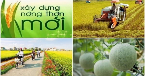 Tổ chức Phong trào thi đua “Cả nước chung sức xây dựng nông thôn mới” giai đoạn 2021 – 2025