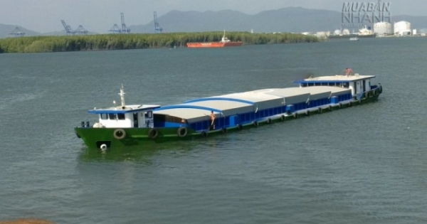 Thu hồi Giấy phép kinh doanh vận tải đa phương thức quốc tế của Công ty Đại Kim Phát