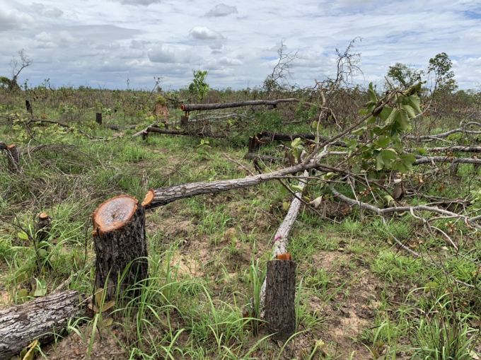 IMG_1649327215215_1649327225112