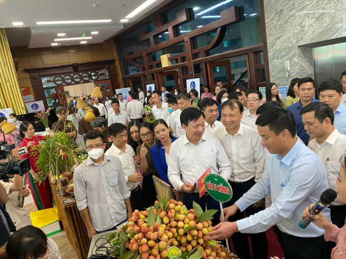 Vải Thanh Hà (Hải Dương) năm nay được đánh giá mẫu mã và chất lượng tốt hơn so với năm ngoái.