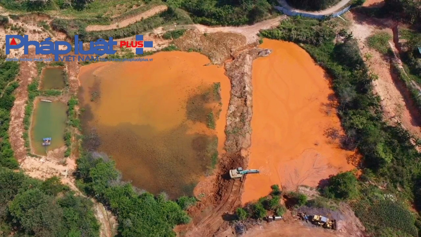 z4328900055025_339158034048dfcad6782457f7231076