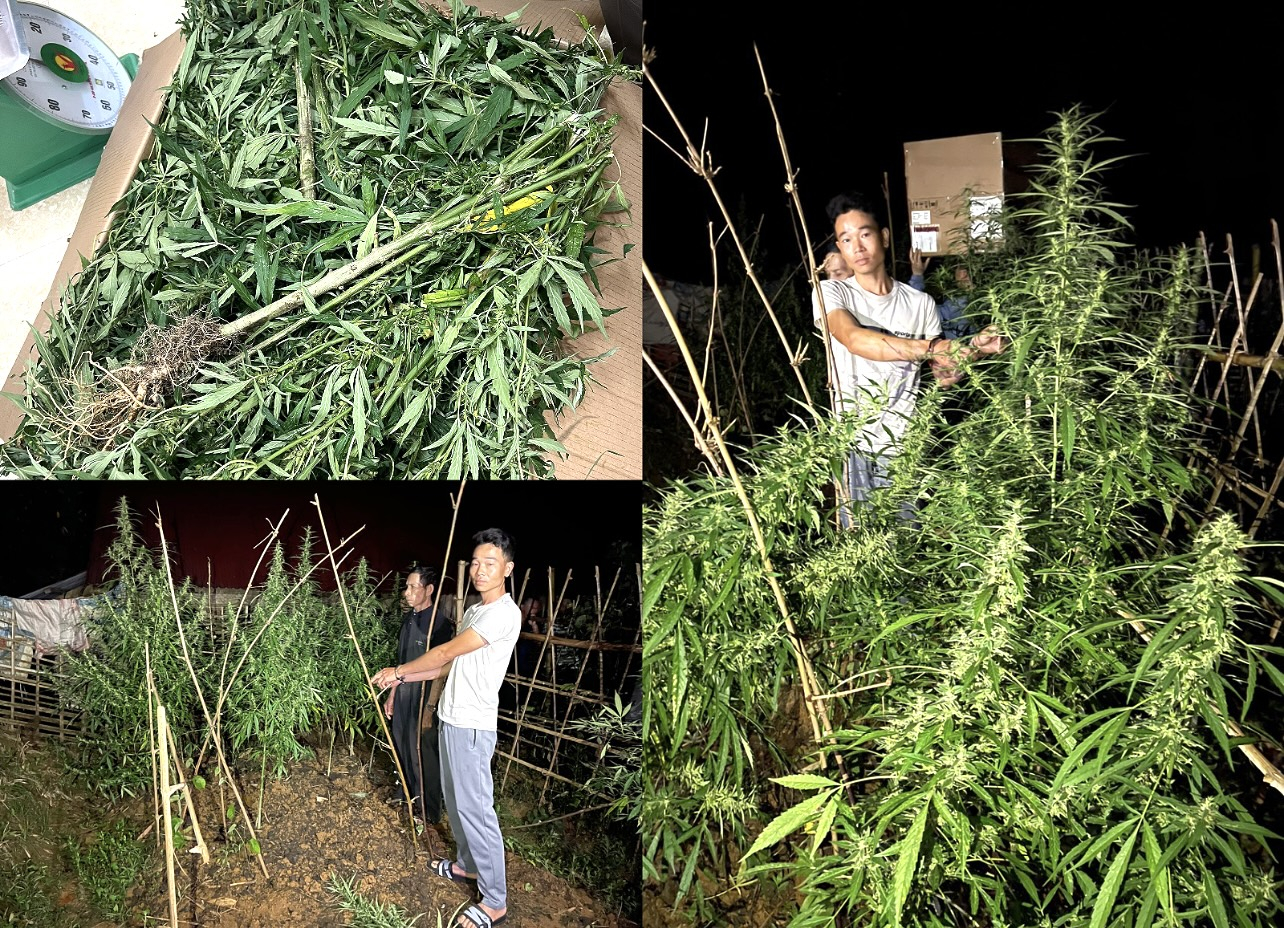 D5C7C107-6681-4E3B-A9E7-9D58BF50E5DB.