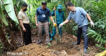 Xuất hiện tình trạng chó dại cắn người tại thành phố Hà Giang