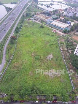 Cỏ dại vẫn mọc xanh tốt trong Dự án bệnh viện T’Hospital!