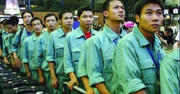 CTCP Nhân lực và Thương mại Vinaconex bị đình chỉ hoạt động đưa người lao động Việt Nam đi làm việc ở nước ngoài