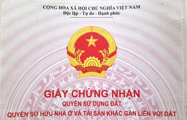 Ảnh minh họa. (Nguồn: Hùng Võ/Vietnam+)