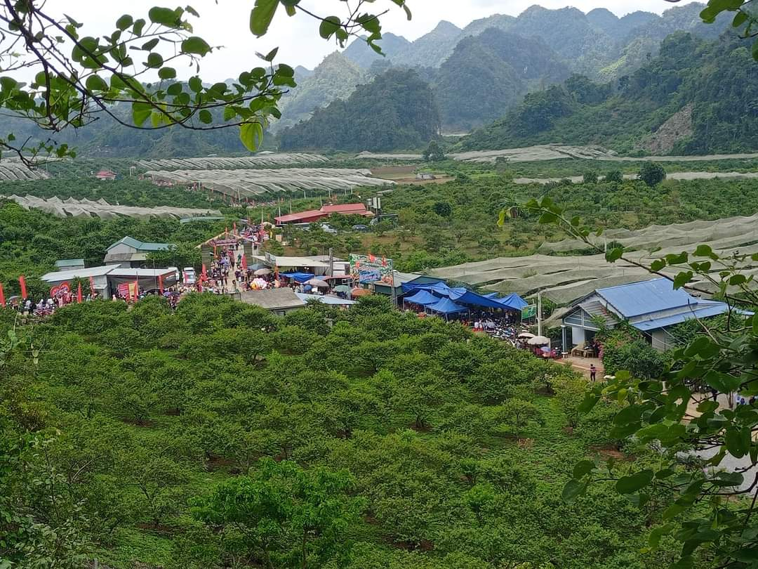 z4381264682017_ebfddf6fbd11238e43532ed644416844