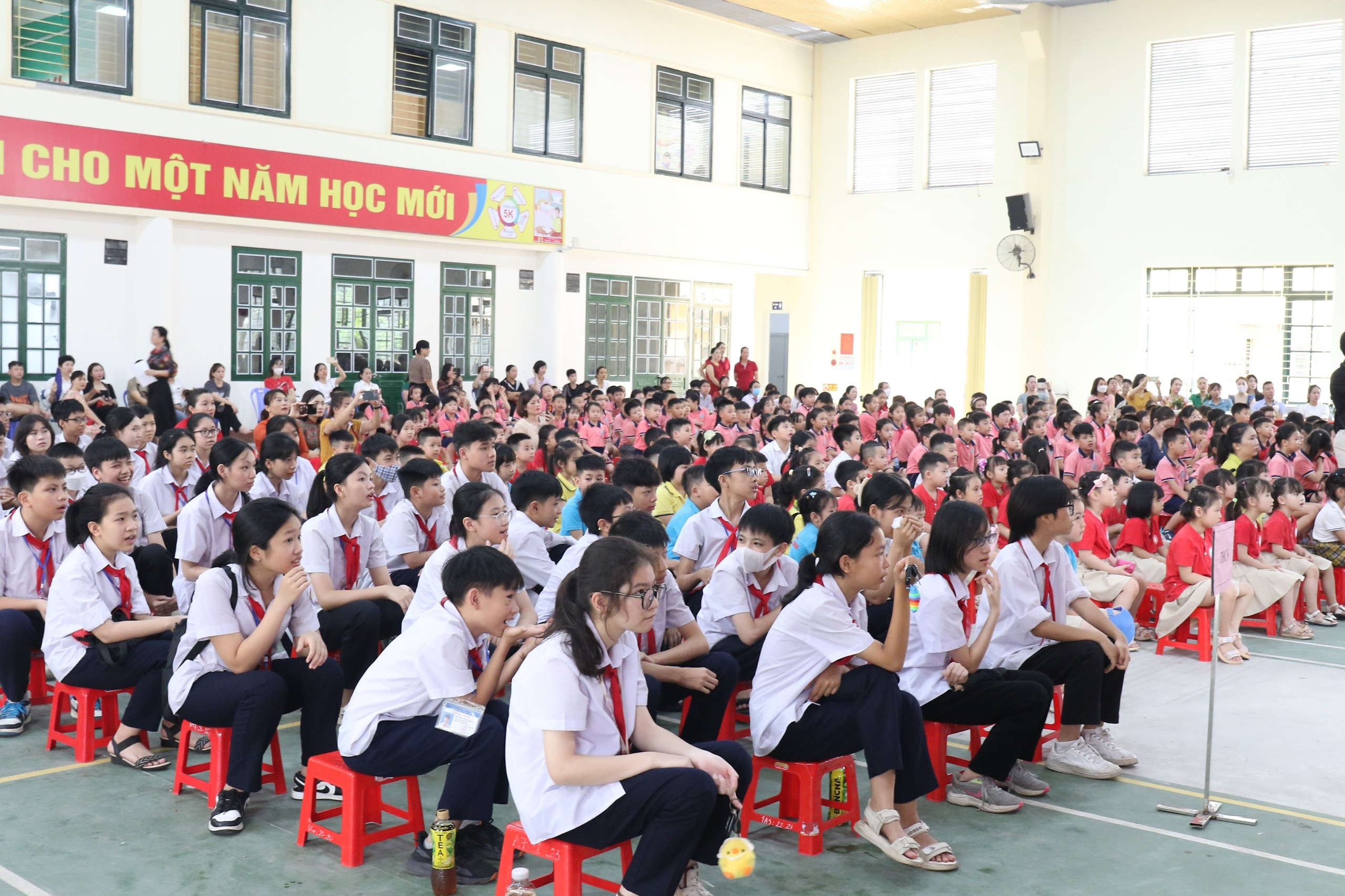 70668D6C-2BFC-4A5D-8C70-7DA0F327DD05.