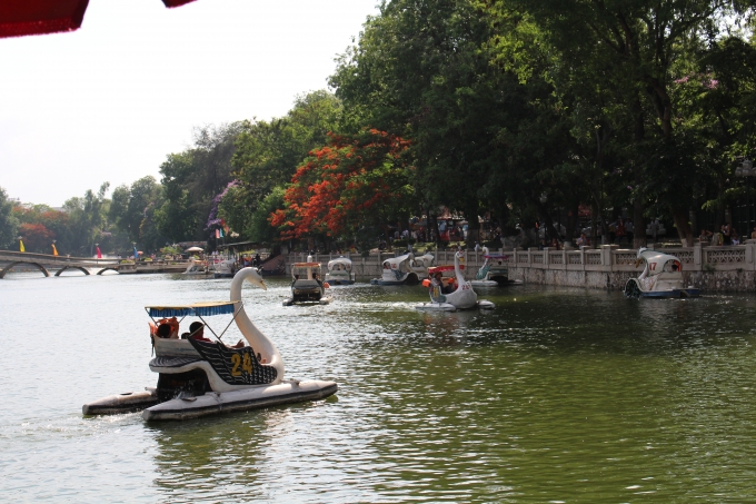 M&aacute;y đạp nước trong c&ocirc;ng vi&ecirc;n Thủ Lệ h&uacute;t kh&aacute;ch trong những ng&agrave;y nắng n&oacute;ng.