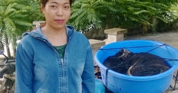 Bắt gần 1 tạ nội tạng trâu bò hôi thối vận chuyển về Thanh Hóa làm đồ nhậu