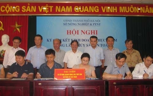 Hà Nội có 264 cơ sở kinh doanh thực phẩm được chứng nhận