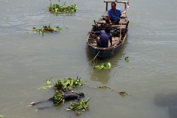 Thi thể nam thanh ni&ecirc;n tr&ocirc;i s&ocirc;ng Đồng Nai.