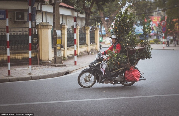 Đến H&agrave; Nội v&agrave;o một ng&agrave;y th&aacute;ng Gi&ecirc;ng, nhiếp ảnh gia Mate Valtr đ&atilde; c&oacute; cơ hội tận hưởng bầu kh&ocirc;ng kh&iacute; tấp nập chuẩn bị cho Tết Nguy&ecirc;n Đ&aacute;n. Những chậu quất được chở dồn dập tr&ecirc;n đường như h&ograve;a m&igrave;nh v&agrave;o kh&ocirc;ng kh&iacute; m&ugrave;a xu&acirc;n sắp sang.