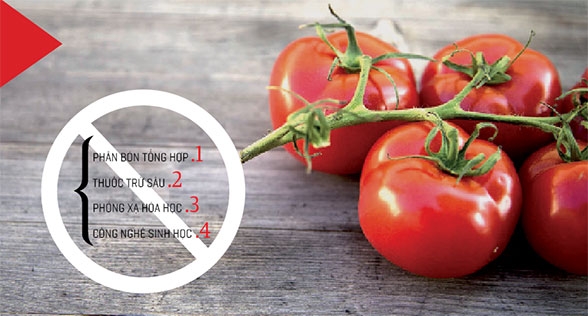 Theo Bộ N&ocirc;ng nghiệp Mỹ (USDA), để được chứng nhận hữu cơ, n&ocirc;ng sản phải được nu&ocirc;i trồng, chế biến v&agrave; bảo quản trong điều kiện: Kh&ocirc;ng Ph&acirc;n b&oacute;n tổng hợp; thuốc trừ s&acirc;u; ph&oacute;ng x&atilde; h&oacute;a học; c&ocirc;ng nghệ sinh học.