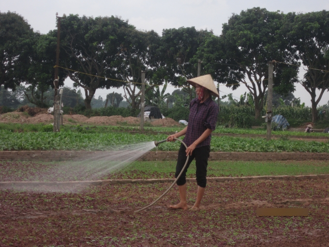 Việc tưới ti&ecirc;u của người d&acirc;n rất cẩn thận trong từng chi tiết.