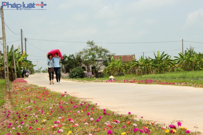 Đường v&agrave;o l&agrave;ng trở n&ecirc;n l&atilde;ng mạn khi hai b&ecirc;n rực rỡ sắc hoa.