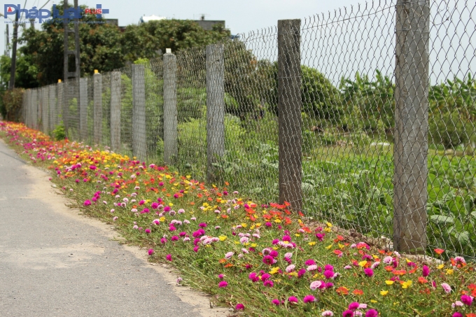 Tr&ecirc;n c&aacute;c tuyến đường li&ecirc;n x&atilde;.