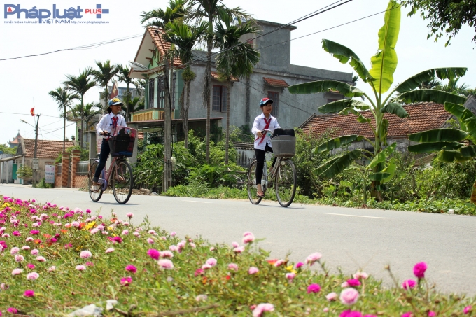 Con đường hoa đầy l&atilde;ng mạn ở l&agrave;ng qu&ecirc; Nam Định