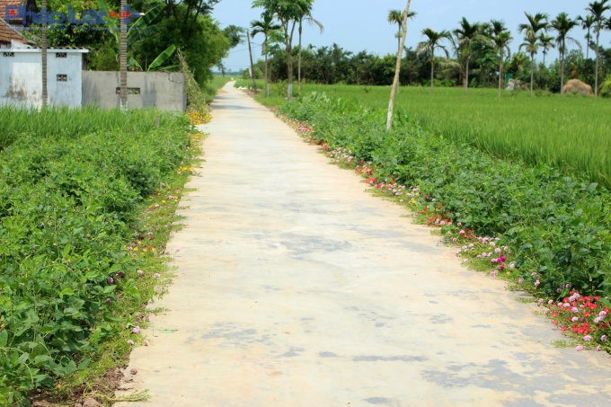 Hay đường v&agrave;o từng nh&agrave;.