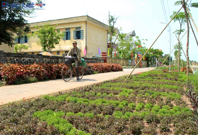 Trang tr&iacute; trước c&aacute;c trường học, cơ quan,...