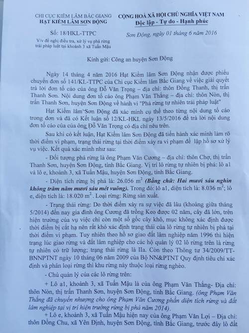 Nh&agrave; chủ tịch thị trấn ph&aacute; bay h&agrave;ng chục ngh&igrave;n m2 rừng, gi&aacute;m đốc Sở N&ocirc;ng Nghiệp n&oacute;i g&igrave;?