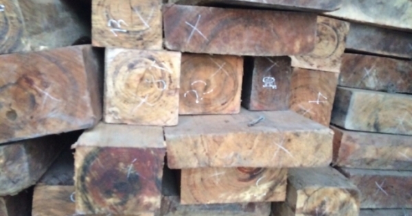 Thanh Hóa: Bắt giữ 6,7 m3 gỗ lậu