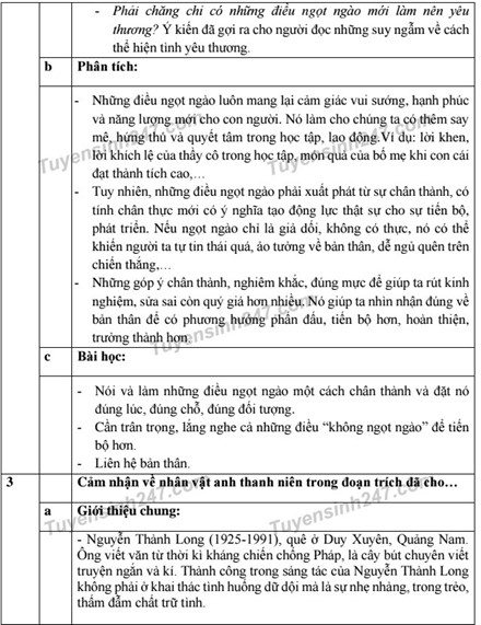 Gợi &yacute; đ&aacute;p &aacute;n đề thi m&ocirc;n Ngữ Văn kỳ thi tuyển sinh v&agrave;o lớp 10 tại TPHCM