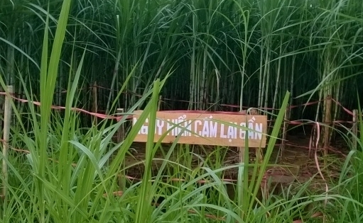 Thanh Hóa: Hố sâu ven sông Bưởi tiếp tục sụt lún