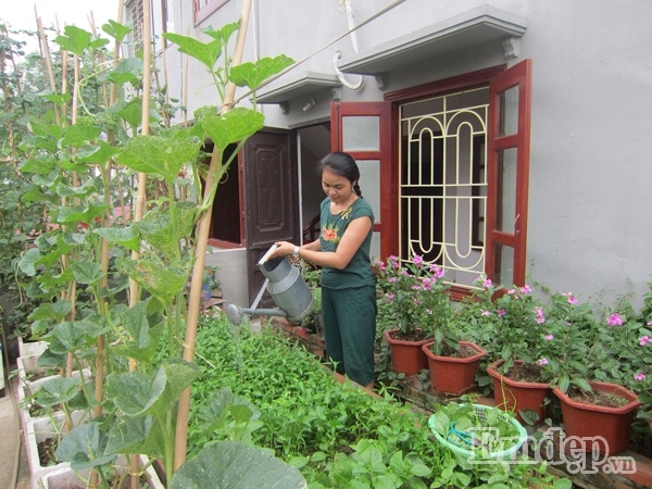 Chị Thơm chăm s&oacute;c rau trong khu vườn tr&ecirc;n &ldquo;n&oacute;c nh&agrave;&rdquo; của m&igrave;nh.