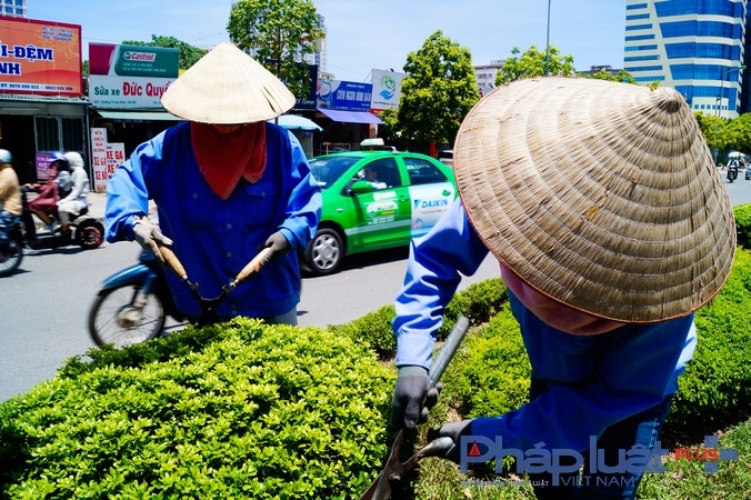 Những nữ c&ocirc;ng nh&acirc;n m&ocirc;i trường đ&ocirc; thị l&agrave;m việc ngo&agrave;i trời.