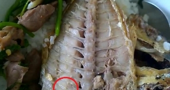 Vụ dòi trong cá tại KTX ĐHQG TP HCM: Chủ quán cơm dùng cá thừa hôm trước bán?