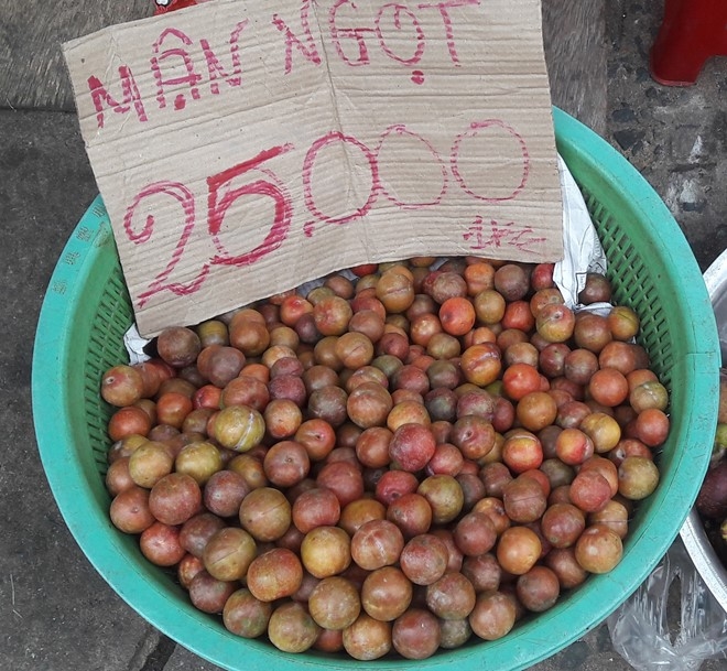 Mận Trung Quốc 25.000 đồng/kg được b&agrave;y b&aacute;n ven đường với m&aacute;c mận H&agrave; Nội bao ngọt. Ảnh:&nbsp;Phạm Oanh