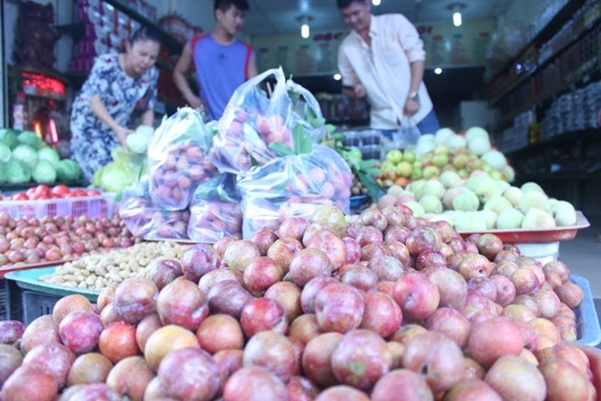 Mận được b&agrave;y b&aacute;n tại c&aacute;c cửa h&agrave;ng tr&aacute;i c&acirc;y Bắc c&oacute; gi&aacute; cao hơn gấp đ&ocirc;i loại đang b&aacute;n ven đường. Ảnh:&nbsp;Phạm Oanh