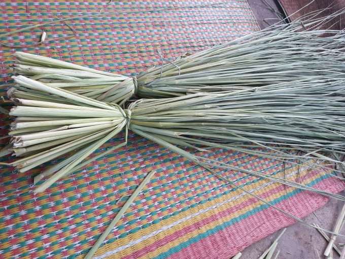 Th&acirc;n c&acirc;y l&uacute;a t&aacute;m thơm l&agrave; nguy&ecirc;n liệu ch&iacute;nh để quấn