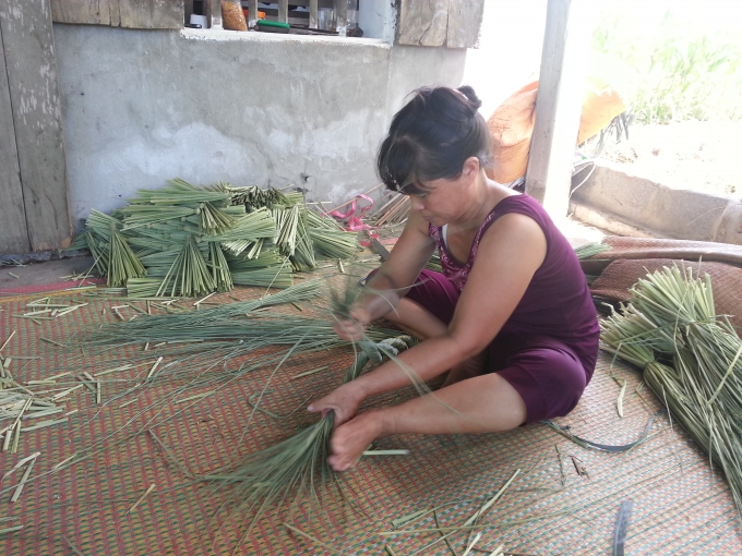 Chị Huế đ&atilde; gắn b&oacute; với c&ocirc;ng việc n&agrave;y đ&atilde; gần 10 năm