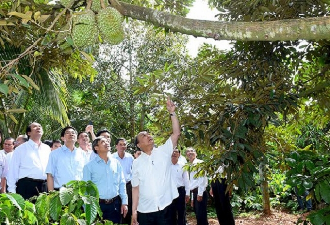 Thủ tướng cũng đến khảo s&aacute;t m&ocirc; h&igrave;nh trang trại của n&ocirc;ng d&acirc;n địa phương.