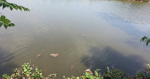 Ninh Bình: Liên tục xảy ra trường hợp đuối nước thương tâm trong ngày hè