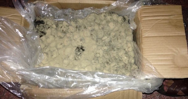 Hà Tĩnh: Bắt giữ 1,4 tấn thuốc viên đông y không rõ nguồn gốc