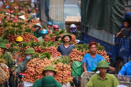 Giờ cao điểm, ngay cả xe m&aacute;y cũng phải đứng ch&ocirc;n ch&acirc;n h&agrave;ng tiếng đồng hồ.