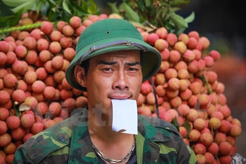 Người thanh ni&ecirc;n n&agrave;y d&ugrave; đ&atilde; b&aacute;n được vải nhưng cũng phải lắc đầu ngao ng&aacute;n v&igrave; kh&ocirc;ng thể l&aacute;ch khỏi đ&acirc;y.&nbsp;