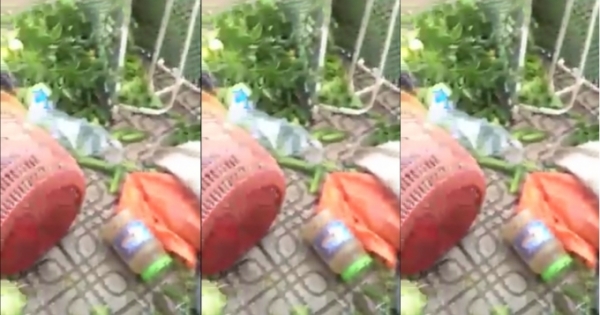 Bức xúc trước hành động chủ nhà đập phá hàng của người phụ nữ bán rau