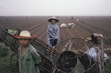 H&agrave; Nội, 1989: Tr&ecirc;n những c&aacute;nh đồng ven đ&ocirc;