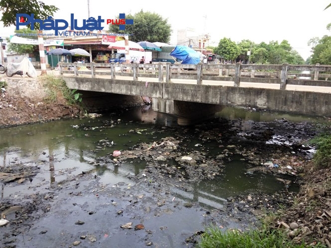 D&ugrave; đ&atilde; được nạo v&eacute;t c&aacute;ch đ&acirc;y kh&ocirc;ng l&acirc;u nhưng dưới ch&acirc;n cầu Điện Bi&ecirc;n vẫn&nbsp;c&ograve;n&nbsp;đầy r&aacute;c.