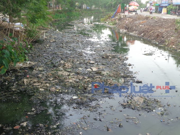 R&aacute;c thải bị vứt v&ocirc; tội vạ,