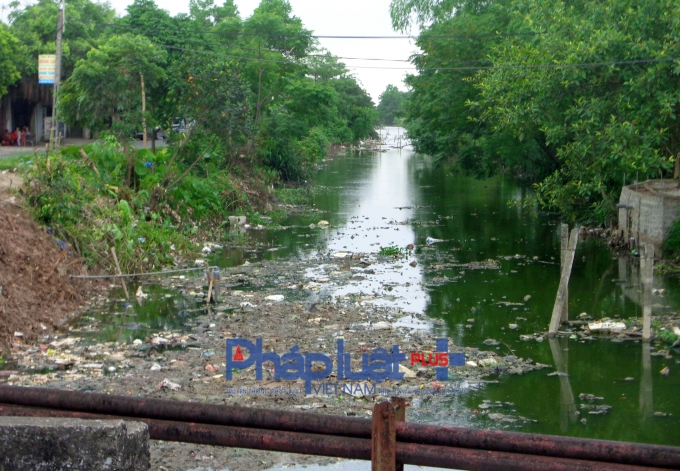 M&ugrave;i x&uacute; uế bốc l&ecirc;n nồng nặc, ruồi nhặng sinh s&ocirc;i nảy nở.