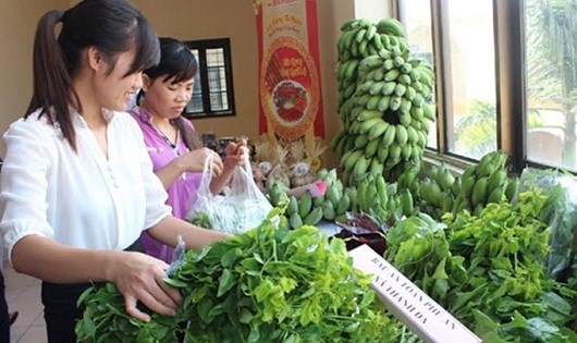 Ti&ecirc;u ch&iacute; rau, thịt sạch cho H&agrave; Nội: Tại sao cần một mẫu số chung?