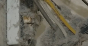 Ô nhiễm nhà máy dệt cạnh khu dân cư Hà Nội