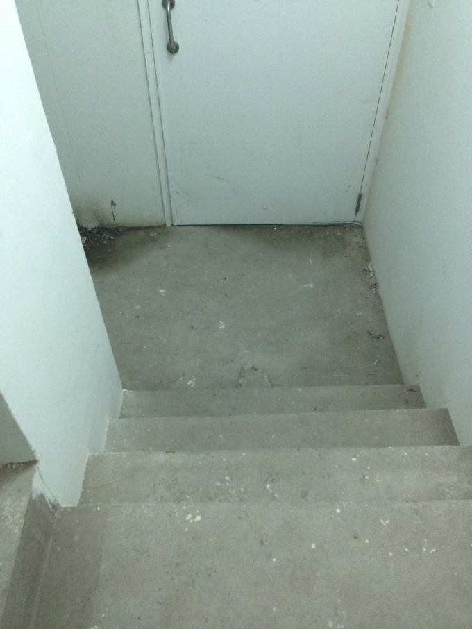 Trong khi chờ lời hứa của chủ đ&acirc;̀u tư, thì con đường ch&iacute;nh là &ldquo;cu&ocirc;́c b&ocirc;̣&rdquo; bằng c&acirc;̀u thang được nhiều cư d&acirc;n lựa chọn để chuyển đồ l&ecirc;n các t&acirc;̀ng tr&ecirc;n. Ngoài ra vi&ecirc;̣c di chuy&ecirc;̉n l&ecirc;n xu&ocirc;́ng của cư d&acirc;n cũng thường xuy&ecirc;n phải sử dụng c&acirc;̀u thang này.