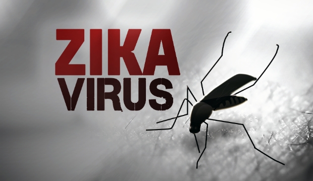 Mỹ c&ocirc;ng bố thử nghiệm th&agrave;nh c&ocirc;ng vắcxin ph&ograve;ng chống virus Zika tr&ecirc;n động vật. Ảnh minh họa