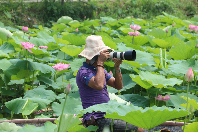 Nhiều thợ ảnh hăng say lao động bất chấp thời tiết nắng n&oacute;ng.